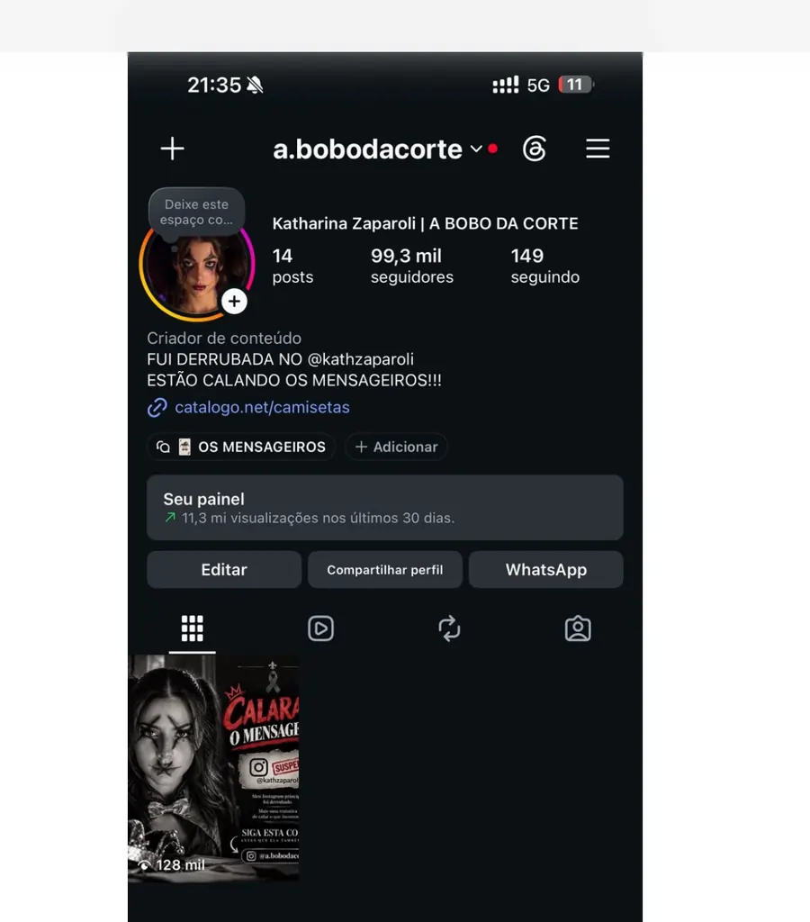 O perfil @a.bobodacorte nos primeiros dias. Print enviado por ela