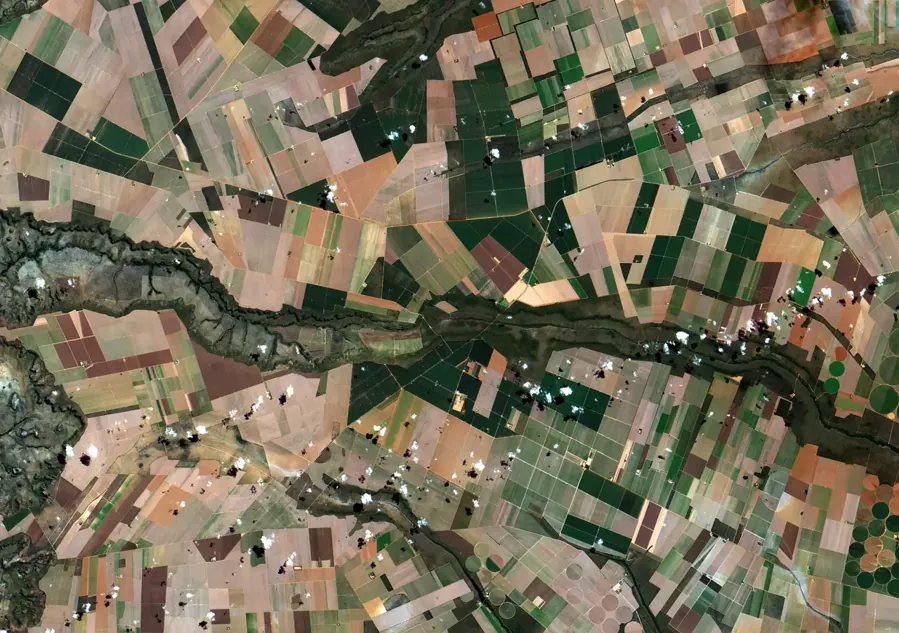 Pivôs de irrigação no Oeste baiano, vistos de satélite. Imagem: INPE, CC BY-SA 2.0
