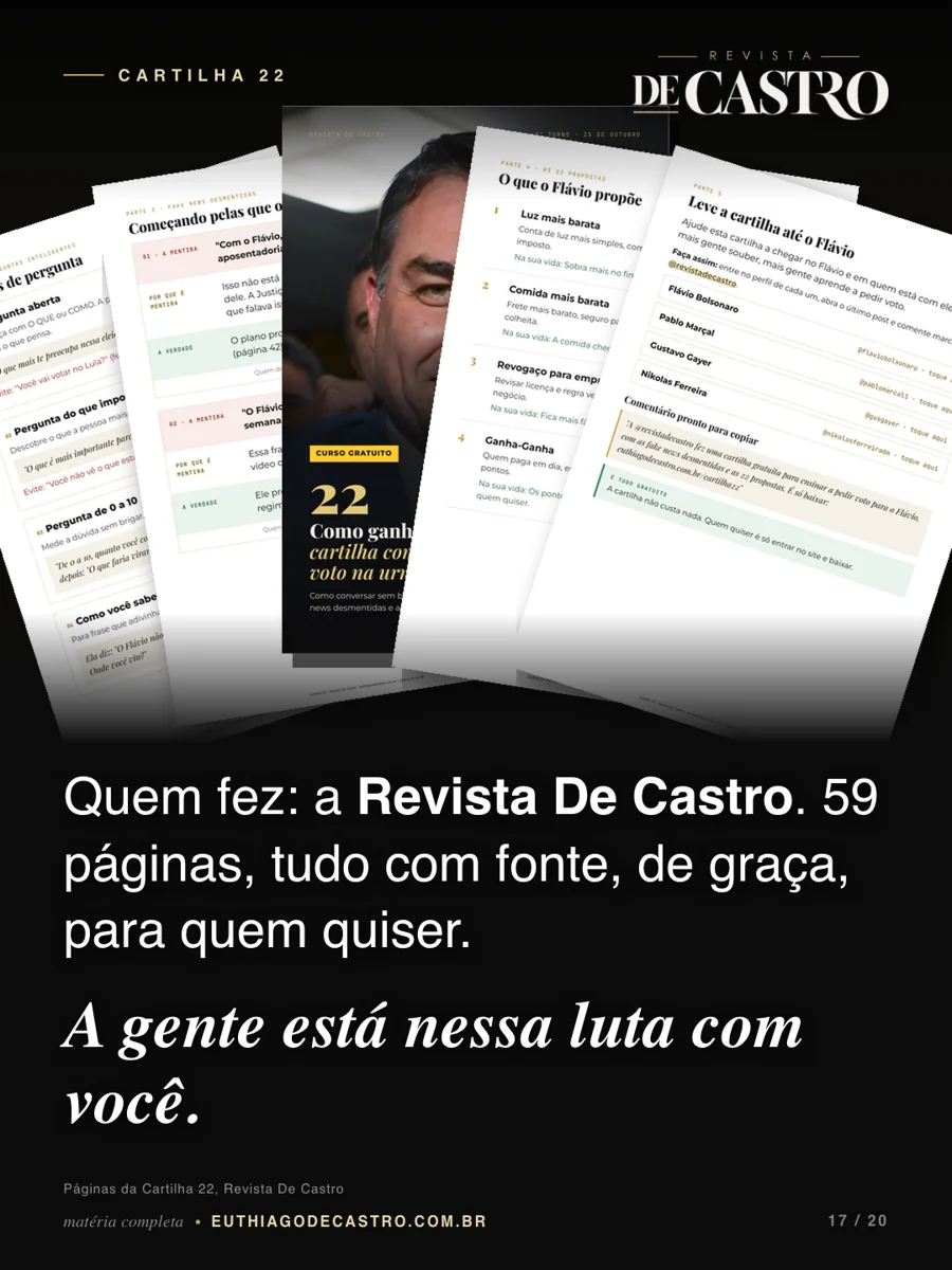 Páginas da Cartilha 22: perguntas, fake news, propostas e a página para levar a cartilha até o Flávio