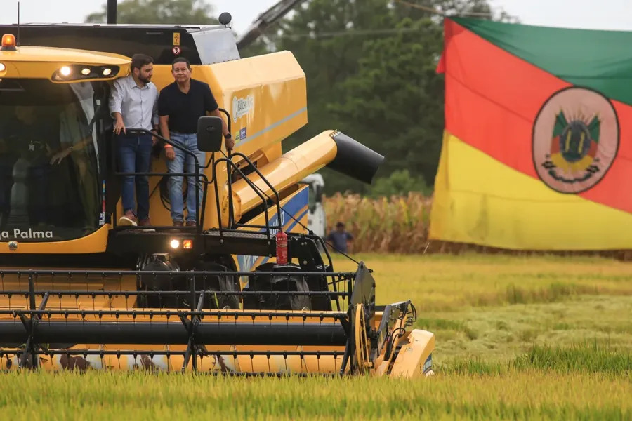 Colheitadeira amarela numa lavoura de arroz, com a bandeira do Rio Grande do Sul ao fundo