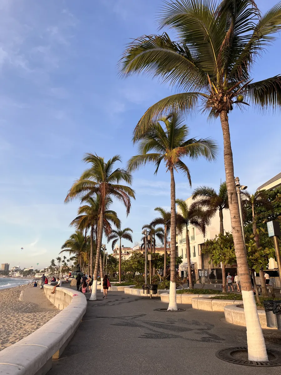 Malecón de Puerto Vallarta, em Jalisco, em foto de arquivo de 2023. Another Believer / Wikimedia Commons, CC BY-SA 4.0