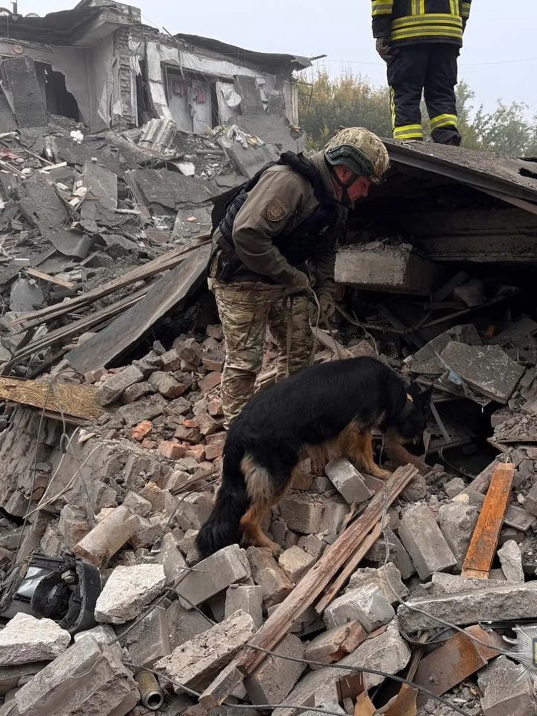 Socorristas e cão farejador nos escombros do prédio atingido em Zaporizhzhia, 10 de outubro de 2026. Polícia Nacional da Ucrânia / Wikimedia Commons, CC BY 4.0