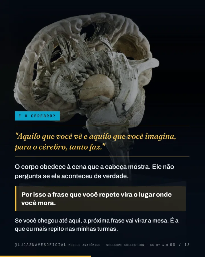 Página 8 de 18